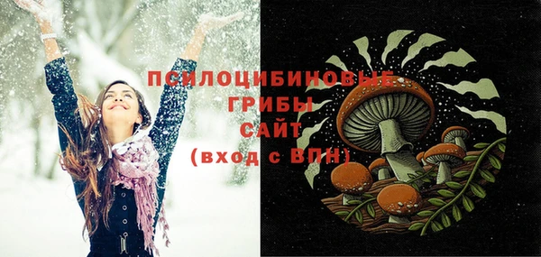 соль ск Белокуриха