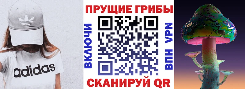 где можно купить   Саяногорск  Псилоцибиновые грибы прущие грибы 